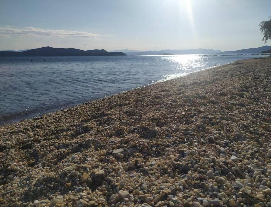 Το Σπίτι Της Μαργαρίτας Στην Παραλία Nea Styra Exterior foto